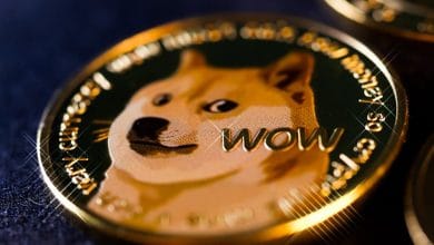 Dogecoin and meme coins market rally