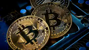 Hoskinson Backs Zcash Over BTC as XRP ETF Sets Record