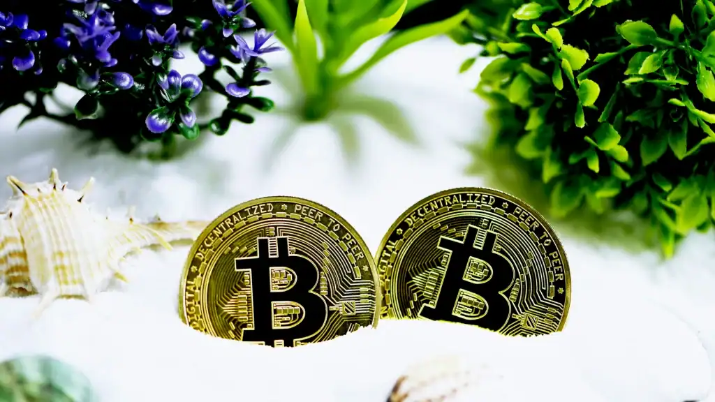 SpaceX IPO Bitcoin Treasury Hits $1.45B in S-1 Filing