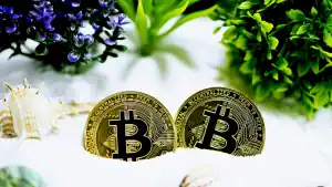 SpaceX IPO Bitcoin Treasury Hits $1.45B in S-1 Filing