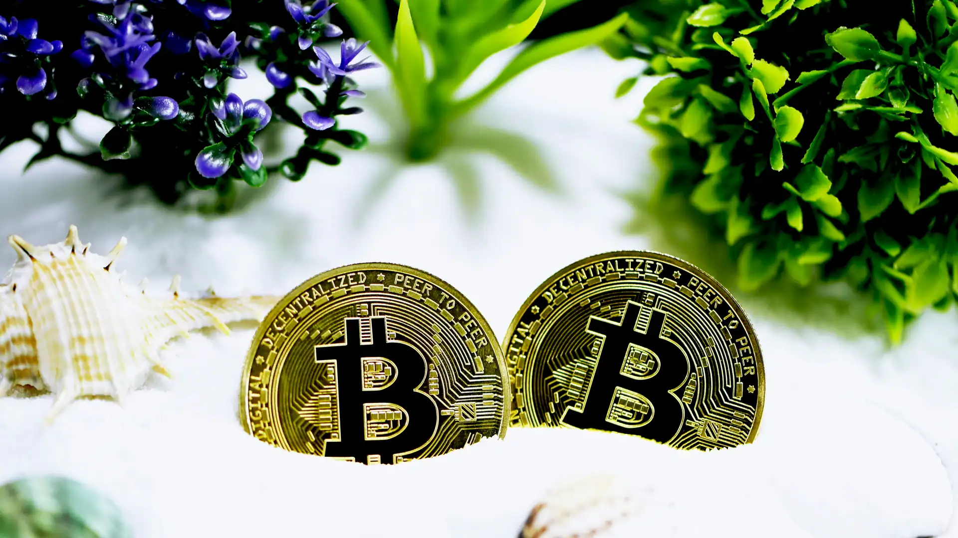 SpaceX IPO Bitcoin Treasury Hits $1.45B in S-1 Filing